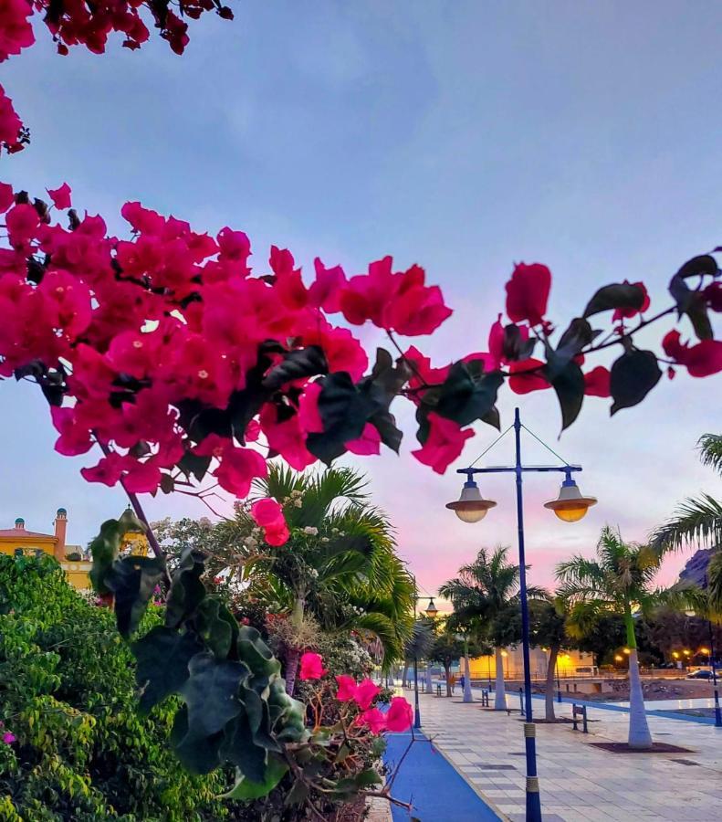 Vv Faro Daire Puerto De Mogan Dış mekan fotoğraf